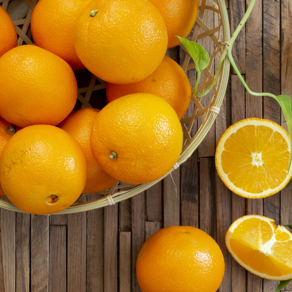 가정용 네이블 오렌지 대과